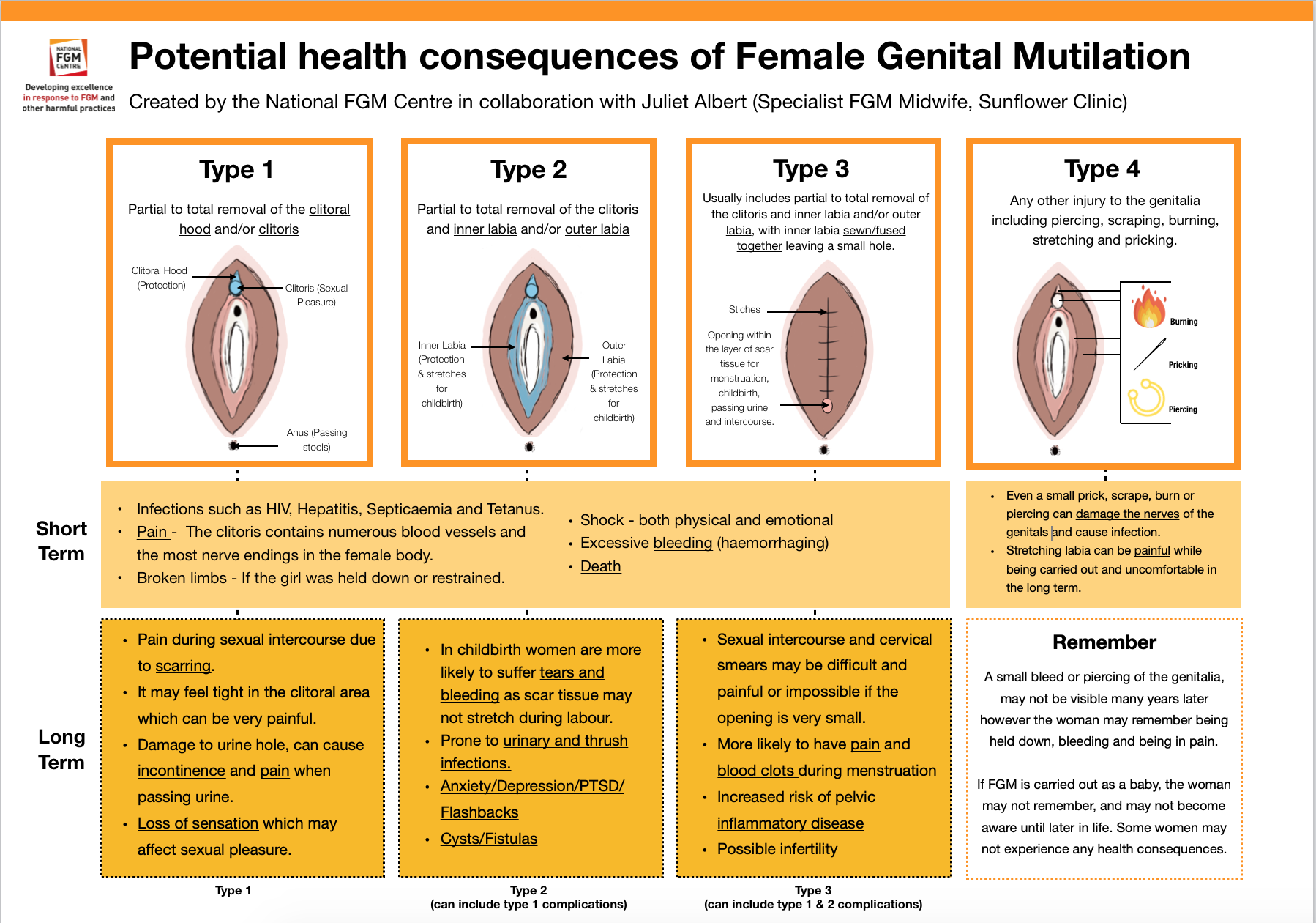 FGM Health Infographic Image